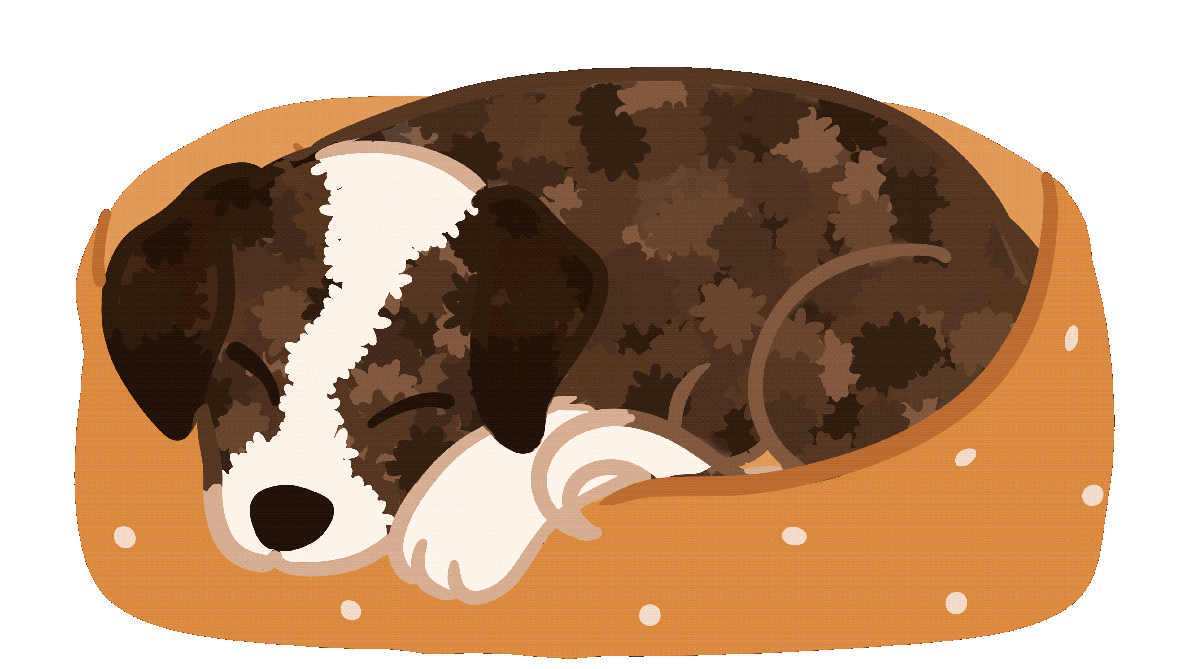 Cartoon Pet Portrait Gif