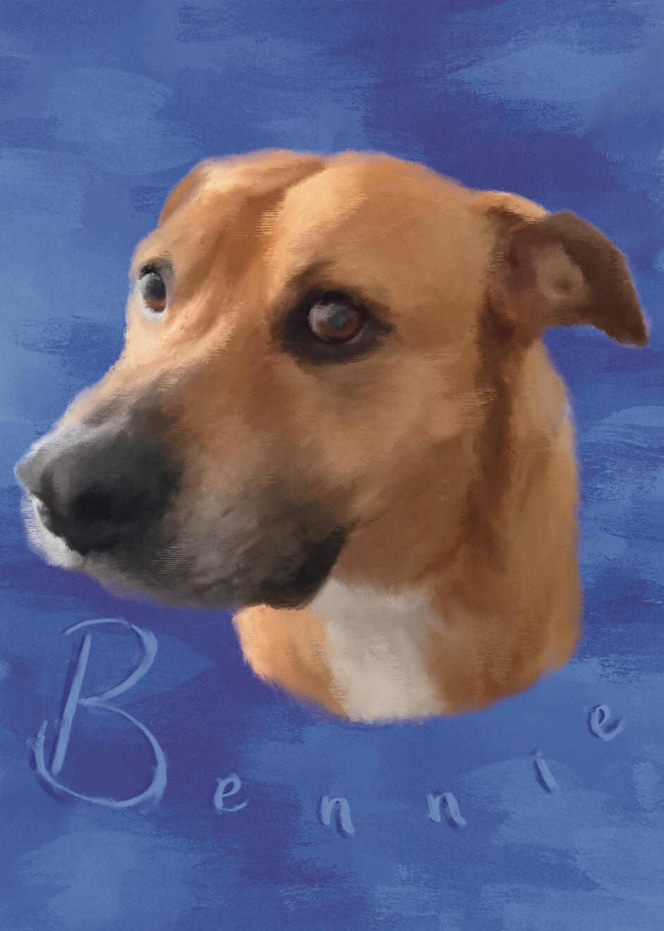 Pet Portrait